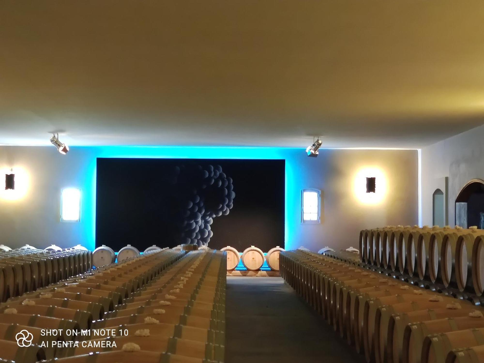 Jau-Dignac-et-Loirac Domaine Des Pres De Joussac - Protocole Sanitaire Strictヴィラ エクステリア 写真