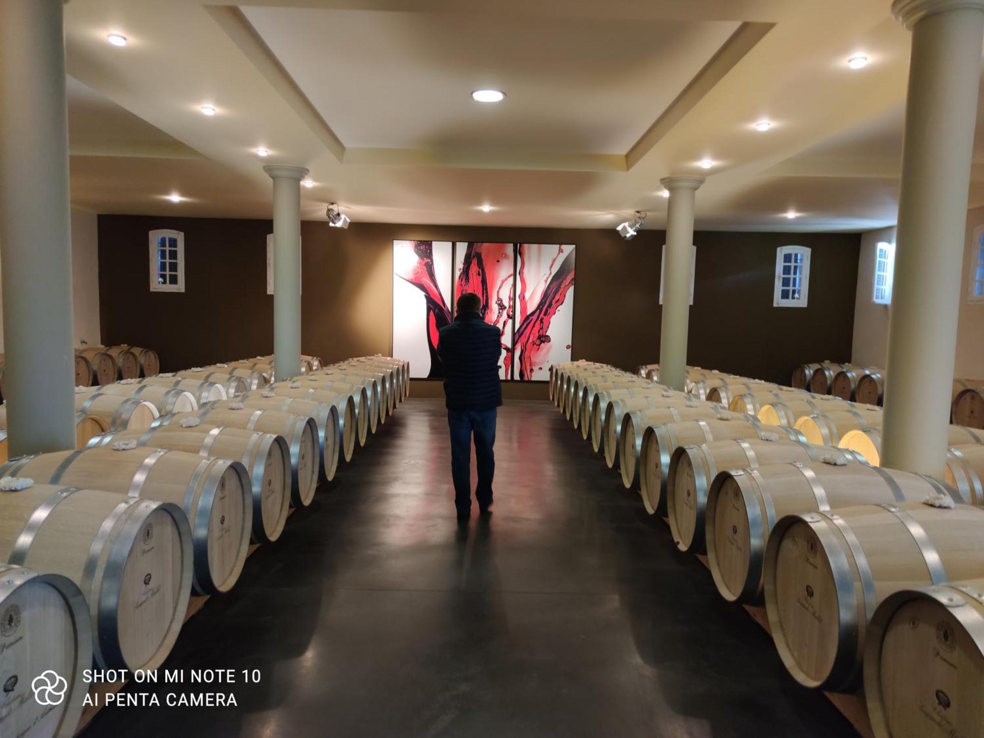 Jau-Dignac-et-Loirac Domaine Des Pres De Joussac - Protocole Sanitaire Strictヴィラ エクステリア 写真